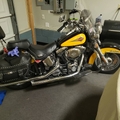 The newest addition to the stable. 2000 #heritagesoftail im really digging this color combo.
#harleydavidson #hd #heritage #softail #cruiser #forgotten #projectbike #motorcycle #blackandyellow #chrome #twincam #vtwin